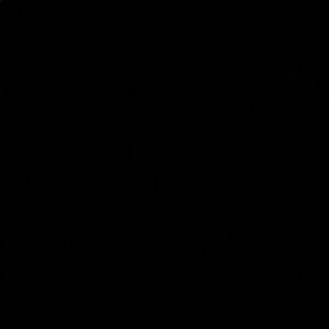 Meet your Posher, Corrine